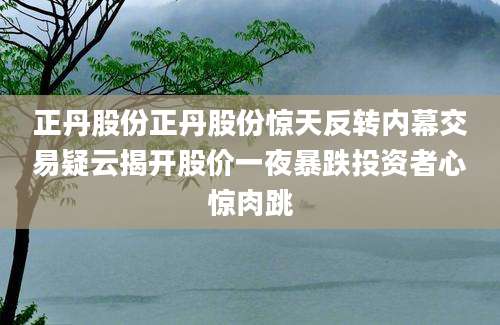 正丹股份正丹股份惊天反转内幕交易疑云揭开股价一夜暴跌投资者心惊肉跳