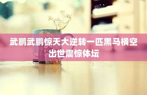 武鹏武鹏惊天大逆转一匹黑马横空出世震惊体坛