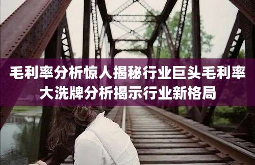 毛利率分析惊人揭秘行业巨头毛利率大洗牌分析揭示行业新格局