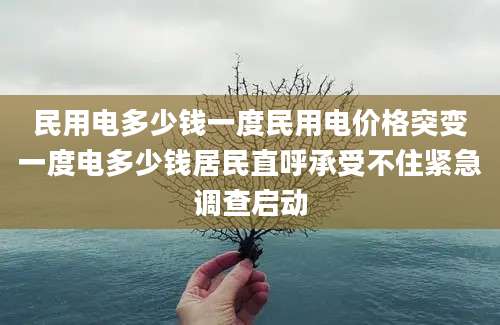 民用电多少钱一度民用电价格突变一度电多少钱居民直呼承受不住紧急调查启动