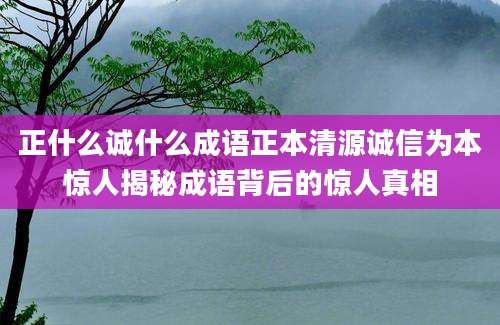 正什么诚什么成语正本清源诚信为本惊人揭秘成语背后的惊人真相