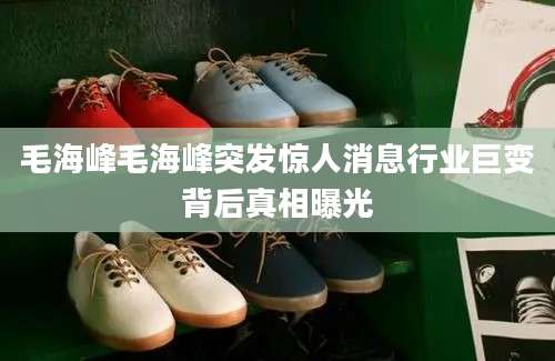 毛海峰毛海峰突发惊人消息行业巨变背后真相曝光