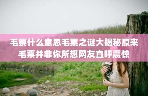 毛票什么意思毛票之谜大揭秘原来毛票并非你所想网友直呼震惊