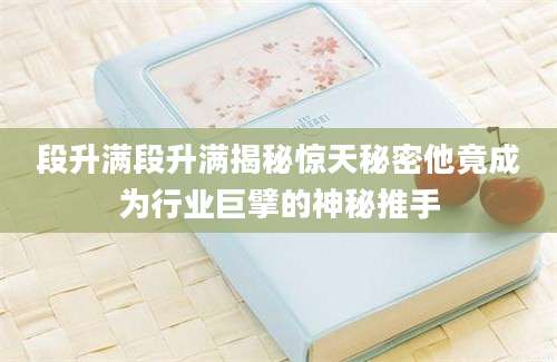 段升满段升满揭秘惊天秘密他竟成为行业巨擘的神秘推手