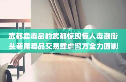 武都卖毒品的武都惊现惊人毒潮街头巷尾毒品交易肆虐警方全力围剿