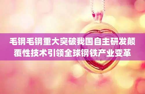毛钢毛钢重大突破我国自主研发颠覆性技术引领全球钢铁产业变革