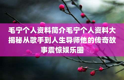 毛宁个人资料简介毛宁个人资料大揭秘从歌手到人生导师他的传奇故事震惊娱乐圈