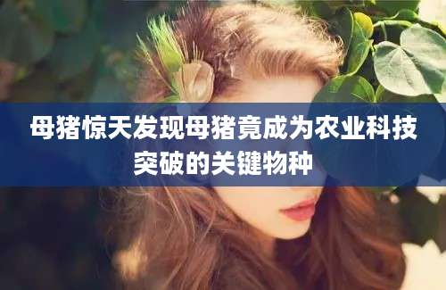母猪惊天发现母猪竟成为农业科技突破的关键物种