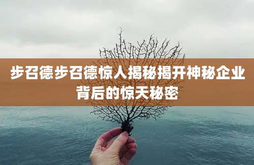 步召德步召德惊人揭秘揭开神秘企业背后的惊天秘密