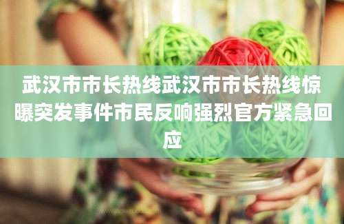武汉市市长热线武汉市市长热线惊曝突发事件市民反响强烈官方紧急回应