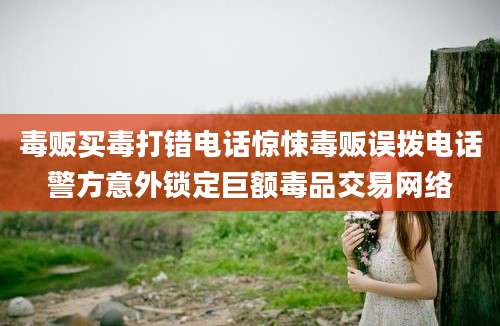 毒贩买毒打错电话惊悚毒贩误拨电话警方意外锁定巨额毒品交易网络