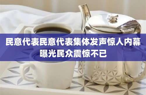 民意代表民意代表集体发声惊人内幕曝光民众震惊不已