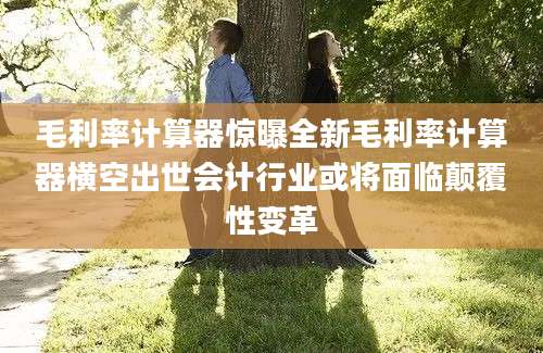 毛利率计算器惊曝全新毛利率计算器横空出世会计行业或将面临颠覆性变革