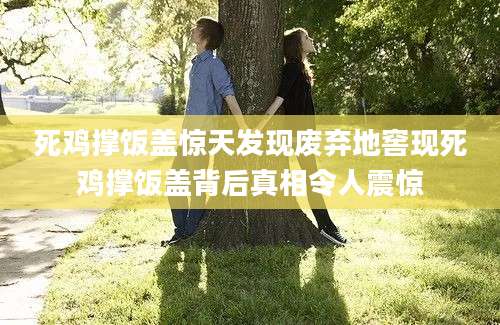 死鸡撑饭盖惊天发现废弃地窖现死鸡撑饭盖背后真相令人震惊