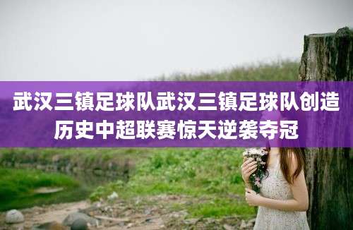 武汉三镇足球队武汉三镇足球队创造历史中超联赛惊天逆袭夺冠