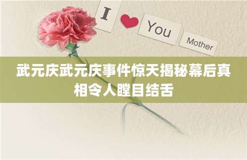 武元庆武元庆事件惊天揭秘幕后真相令人瞠目结舌
