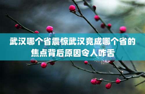武汉哪个省震惊武汉竟成哪个省的焦点背后原因令人咋舌