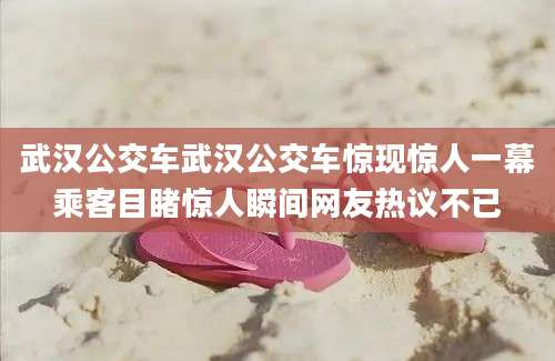 武汉公交车武汉公交车惊现惊人一幕乘客目睹惊人瞬间网友热议不已