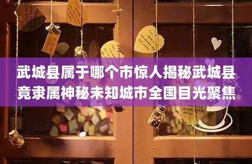 武城县属于哪个市惊人揭秘武城县竟隶属神秘未知城市全国目光聚焦