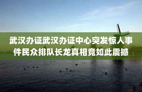 武汉办证武汉办证中心突发惊人事件民众排队长龙真相竟如此震撼