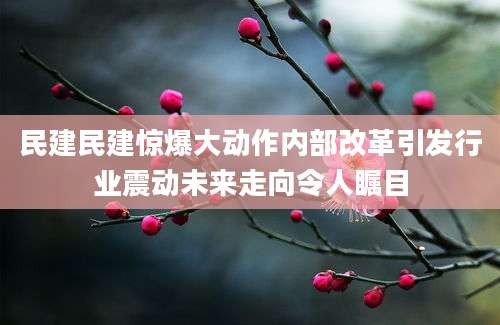 民建民建惊爆大动作内部改革引发行业震动未来走向令人瞩目