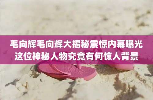 毛向辉毛向辉大揭秘震惊内幕曝光这位神秘人物究竟有何惊人背景