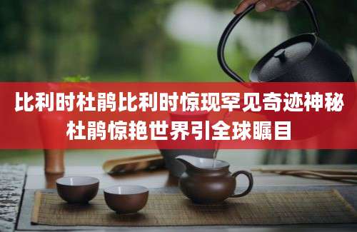 比利时杜鹃比利时惊现罕见奇迹神秘杜鹃惊艳世界引全球瞩目