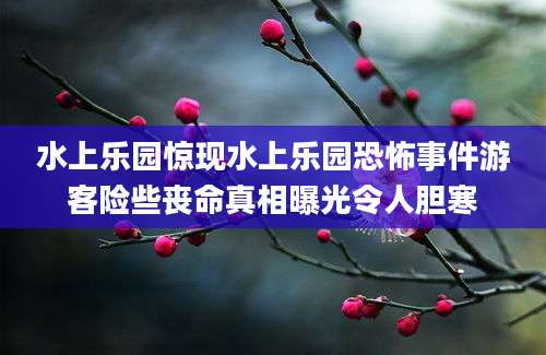 水上乐园惊现水上乐园恐怖事件游客险些丧命真相曝光令人胆寒