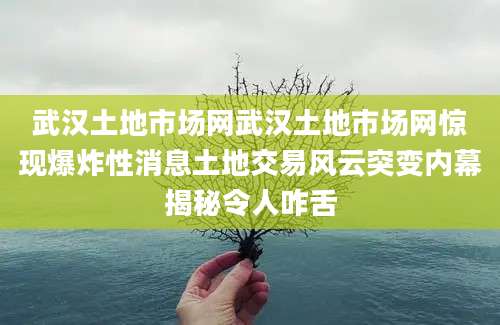 武汉土地市场网武汉土地市场网惊现爆炸性消息土地交易风云突变内幕揭秘令人咋舌