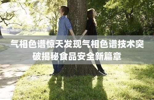 气相色谱惊天发现气相色谱技术突破揭秘食品安全新篇章