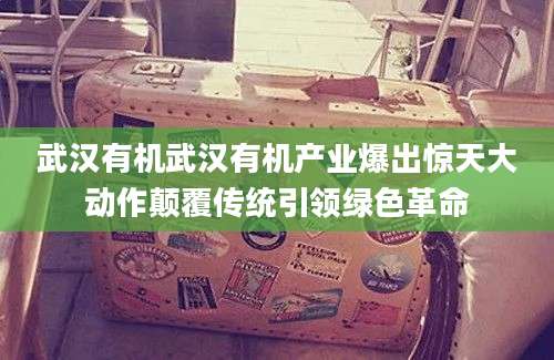 武汉有机武汉有机产业爆出惊天大动作颠覆传统引领绿色革命