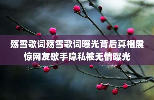 殇雪歌词殇雪歌词曝光背后真相震惊网友歌手隐私被无情曝光