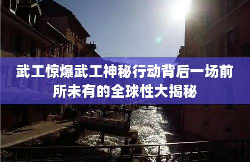 武工惊爆武工神秘行动背后一场前所未有的全球性大揭秘