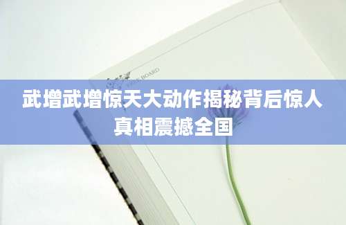 武增武增惊天大动作揭秘背后惊人真相震撼全国
