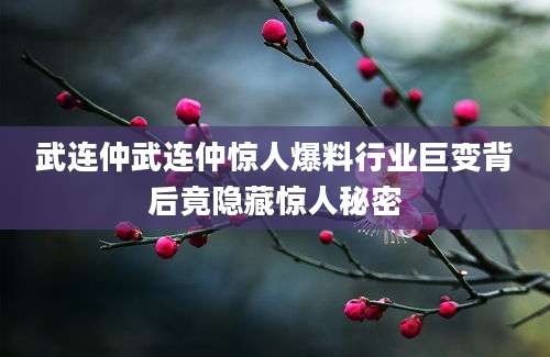 武连仲武连仲惊人爆料行业巨变背后竟隐藏惊人秘密