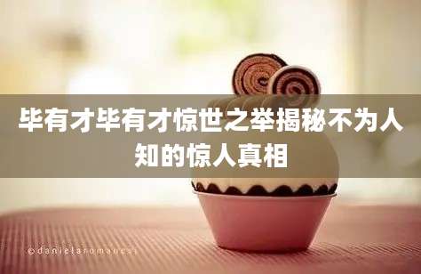 毕有才毕有才惊世之举揭秘不为人知的惊人真相