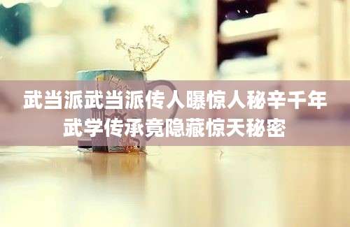 武当派武当派传人曝惊人秘辛千年武学传承竟隐藏惊天秘密