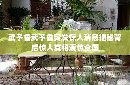 武予鲁武予鲁突发惊人消息揭秘背后惊人真相震惊全国